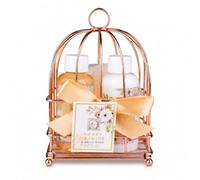 Accentra Coffret de bain HONEY JASMINE musc blanc panier rosé 15 g éponge | Idée cadeau bien-être féminine, corbeille métallique cuivrée, duo soin corporel, filet moussant, tons abricot dorés
