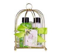 Accentra Ensemble de douche OLIVE pour femme dans un joli panier métallique - Set de soin 3 pièces avec gel douche et lotion pour le corps - Coffret cadeau bien-être pour anniversaire ou Noël