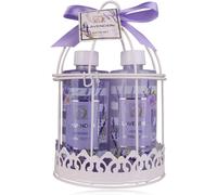 Accentra-Set Cadeau De Douche Pour Femmes Lavande Dans Un Jolie Panier En Fil Métallique,Set De Soins 4 Pièces Gel Douche,Lotion,Bain Moussant-Set Cadeau Idéal Pour Anniversaire,Saint-Valentin & Noël