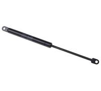 Accesoire Micro-onde - Verin De Porte Relevable 250n - C00136996