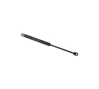 Accesoire Micro-onde - Verin De Porte Relevable 250n - C00136996