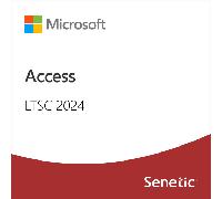 Access LTSC 2024