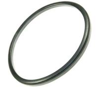 Joint du bac séparateur - Aspirateur (RS-RT3870 ROWENTA)