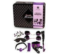 Accessoire bdsm kit secretplay bdsm 8 pièces violet et noir