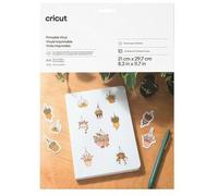 Vinyle Imprimable Cricut A4-10 feuilles (Argent)