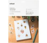 Accessoire CRICUT Vinyl A4 10 feuilles silver