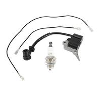 Accessoire de bobine d'allumage, module de bobine d'allumage bougie d'allumage adaptée aux pièces de rechange de tronçonneuse Timberpro/Lawnflite