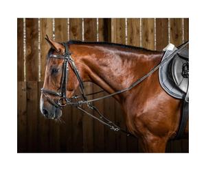 Accessoire de bridon pour cheval nylon Dy'on Gogue Noir Full