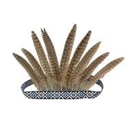 Accessoire de cheveux luxueux à plumes avec queue et strass étincelants