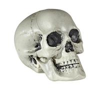 Widmann Tête de mort 01379 en plastique, env. 21 cm