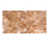 Accessoire de nid pour oiseaux Nobby Pet Cocos Sisal Jute Beige TU