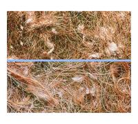 Accessoire de nid pour oiseaux Nobby Pet Nistmaterial Animale Vegetale Marron 50 g