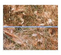 Accessoire de nid pour oiseaux Nobby Pet Nistmaterial Pelo Animale Marron 50 g