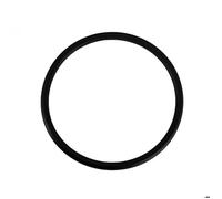 Accessoire de piscine - HAYWARD - SPX3200S - O-Ring Couvercle de filtre - Blanc