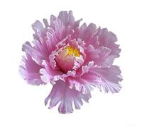 Accessoire de pivoine synthétique fabriqué en lin, parfait pour la photographie de mariage et la décoration de lieux (rose)