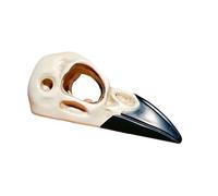 Accessoire d'habitat texturé pour reptiles - Cachette crâne d'oiseau avec bain de soleil - Résines faciles à nettoyer - Pour bassin amphibien, grotte de reptiles naturels simulés, crânes rampants