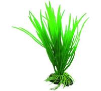 Accessoire pour aquarium Hobby Cyperus Vert 16 cm