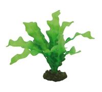 Accessoire pour aquarium Hobby Echinodrus Vert 20 cm