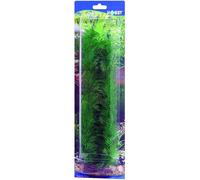 Accessoire pour aquarium Hobby Egeria Vert 13 cm