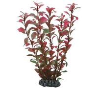 Accessoire pour aquarium Hobby Ludwigia Rouge 25 cm