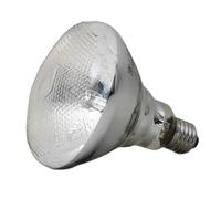 Accessoire pour aquarium JBL UV-Spot plus 80W Argenté TU