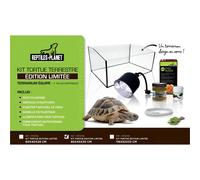Accessoire pour aquarium Reptiles Planet Multicolore 60x40x28 cm