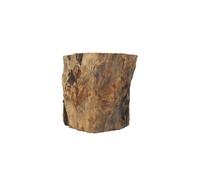 Accessoire pour aquarium Reptiles Planet Treehouse XL Beige 20 cm