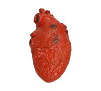 Accessoire réaliste en forme de cœur, décoration d'Halloween effrayante | Imitation d'amour, accessoires interactifs pour maison hantée effrayante pour la maison, les fêtes et les événements sur le