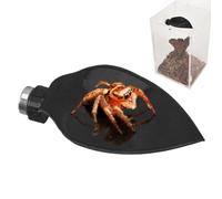 Accessoires Araignée Sauteuse Ornement Magnétique en Forme De Feuille
