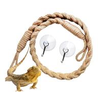 Accessoires Bernard L'ermite Accessoires pour Animaux avec Ventouses