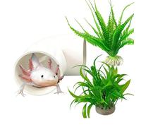 Accessoires d'aquarium à Axolotl - Petit Habitat Décoratif - Ensemble 3 Pièces Décor Grotte Aquarium,pour Tortue Crabe Clown Nain Alimentation Bain Sommeil Reproduction