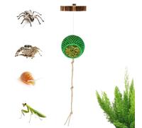 Accessoires d'araignée de saut - Jouet de décoration d'escalade - Accessoire pour aquarium - Pour terrarium, reptiles, barbes, serpents, tortues d'eau, tortues terrestres, grenouilles, crabes