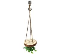 Accessoires d'araignée sauteuse - Boîtier d'araignée de 14 cm - Zone d'activité d'escalade pour reptiles, aquarium, serpent, tortue, tortue
