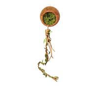 Accessoires d'araignées pour terrarium - Décoration magnétique | Accessoires de grotte d'araignées pour tarantels, orveillères, scorpions - pour grimper, cacher, se reposer et pour
