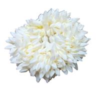 Accessoires de cheveux indiens traditionnels blancs - Fleur artificielle - Bijoux faits à la main - Diadème Veni pour femme - Pour fête de mariage (1 pièce)