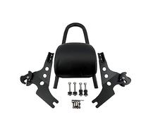Accessoires De Coussin Protection Séjour Dossier Siège Passager Arrière Moto Pour Harley Sportster XL 883 1200 2004-2021 Capot siège arrière