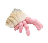 Accessoires De Décoration De Jardinn En Résine, Artisanat Effrayant, Décorations De Crabe À Doigt, Sculpture D'horreur D'escargot À Main Hermès