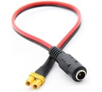 Accessoires de Drone, Lunettes compatibles B6, Adaptateur de Chargeur XT60 XT30 à DC 5.5 2.1mm Compatible avec Utilisation FPV, connecteur Couleur T remplaçable(for XT30)