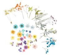 Accessoires de Fleurs Pressées Faites à Main, 4 Sachets, Décor | Fleurs Séchées Naturelles, Couleur et Parfum Conservés, pour Amis et Garçon et Filles, Table à Manger et Scrapbooking