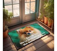Accessoires de garage pour homme Cave Adorable Poméranie mendiant pour l'intimité : « Excuse Me ! We'Re Attemp Paillasson extérieur pour la maison Décoration pour chambre à coucher (50 x 80 cm)