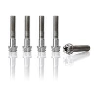 Accessoires De Modification Moto, 1 Jeu Vis Boulons Roue En Titane Pour Scooter, 5 Pièces Hexagonales Pour GTS300 GTV300 GTS 300(Argent)