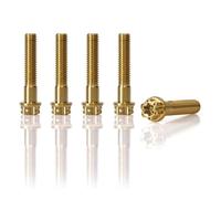 Accessoires De Modification Moto, 1 Jeu Vis Boulons Roue En Titane Pour Scooter, 5 Pièces Hexagonales Pour GTS300 GTV300 GTS 300 Vélos rue(Gold)