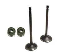 Accessoires de moto pour CG250 250 CC - Pièces de rechange pour moteur - Soupapes d'échappement d'admission de moto - Guide de tige - Joint d'huile de rechange