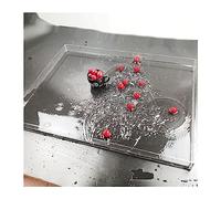 Accessoires de Pose de Photos flottantes, vitrine en Acrylique, Plateau de Prise de Vue for Photographie, réservoir d'eau Claire et Peu Profonde, boîte de Rangement cosmétique Alimentaire Portable (S