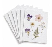 Accessoires de pressage de fleurs, plaques de séchage de rechange pour fleurs séchées, feuilles, plantes, fruits, pour loisirs créatifs, spécimens (27,4 x 17,5 cm)