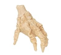 Accessoires décoratifs effrayants réalistes de la main d'Halloween avec le | Costume de main pour l'école, la maison, le jardin, la chambre, la chambre à coucher, la maison hantée et la classe