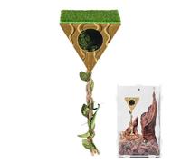 Accessoires d'Habitat pour Araignées Sauteuses | Ornement Magnétique Terrarium Reptile | Cachette pour Araignée Sauteuse,pour Tarantules Mantes Scorpions Jeu Escalade Repos Nourriture