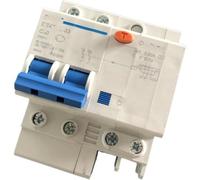 Accessoires électriques Disjoncteur À Courant Résiduel RCCB, DZ47LE-32 DZ47LE-63 2P + N 230V 50/60Hz 10A 16A 20A 25A 32A 40A 50A 60A(60A)