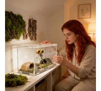 Accessoires Enclos Araignées - Décoration Magnétique pour Terrarium | Décoration D'Habitat pour Araignée Sauteuse | pour Terrariums et Aquariums de Tarentules, Mantes et Scorpions