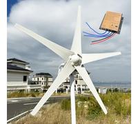 Accessoires éoliens 12 V, 24 V, 48 V, Turbine 800 W-1 200 W, kit de Puissance avec Turbine Haute Puissance, 5 pales en Fibre, éclairage Public Domestique, 1 000 W, 12 V